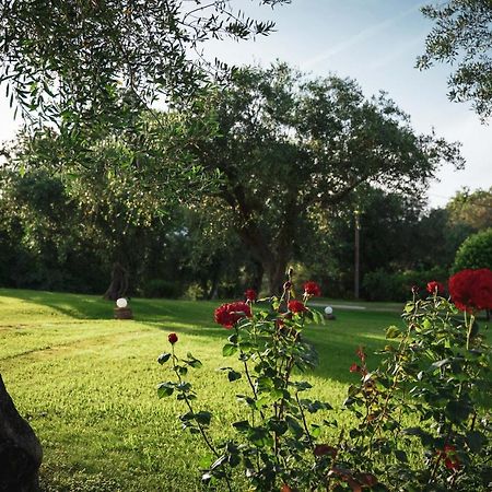 Panorama Hideaway Aparthotel Dasziá Kültér fotó