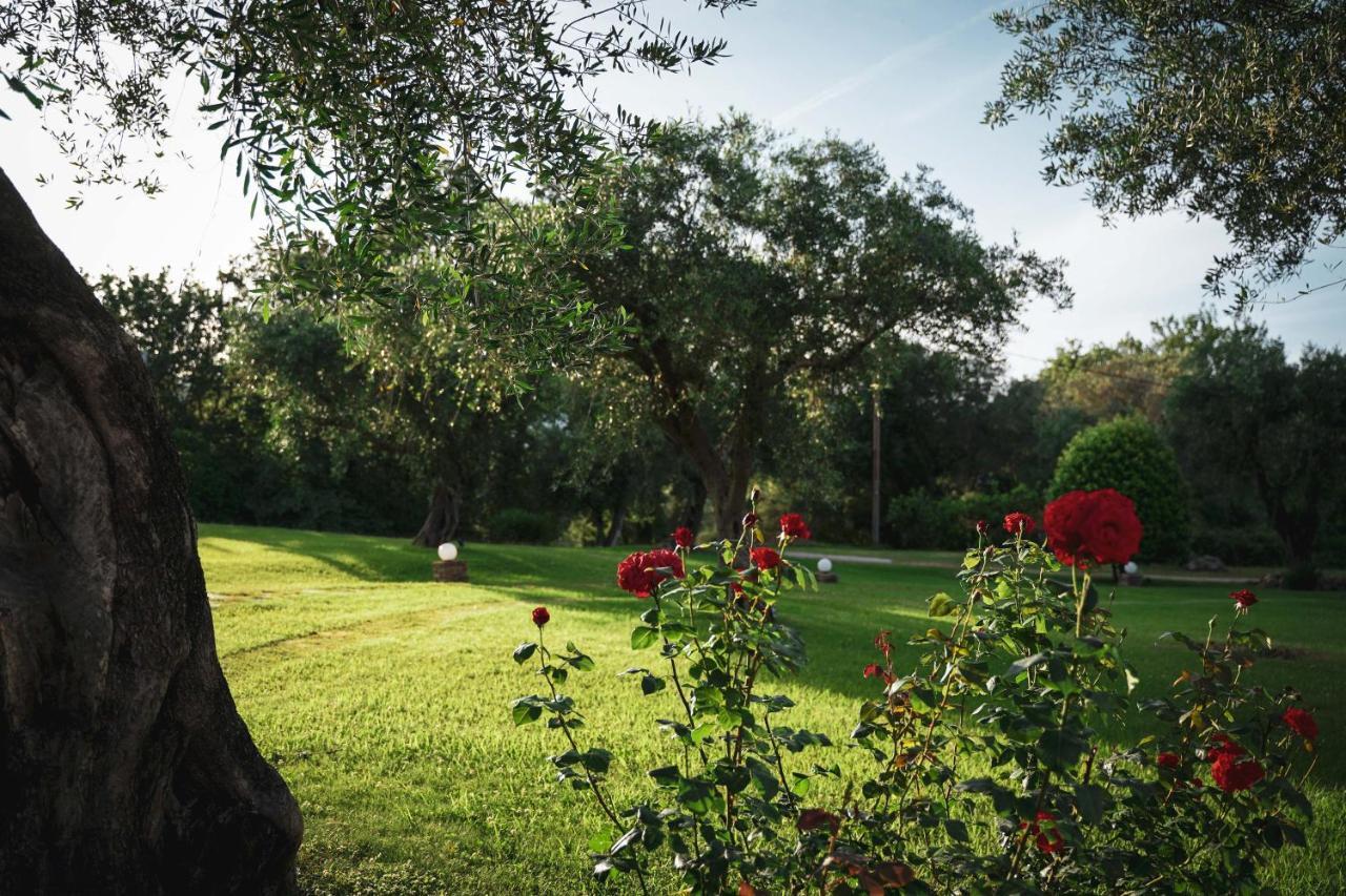 Panorama Hideaway Aparthotel Dasziá Kültér fotó